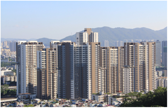 普洱格力香樟.png